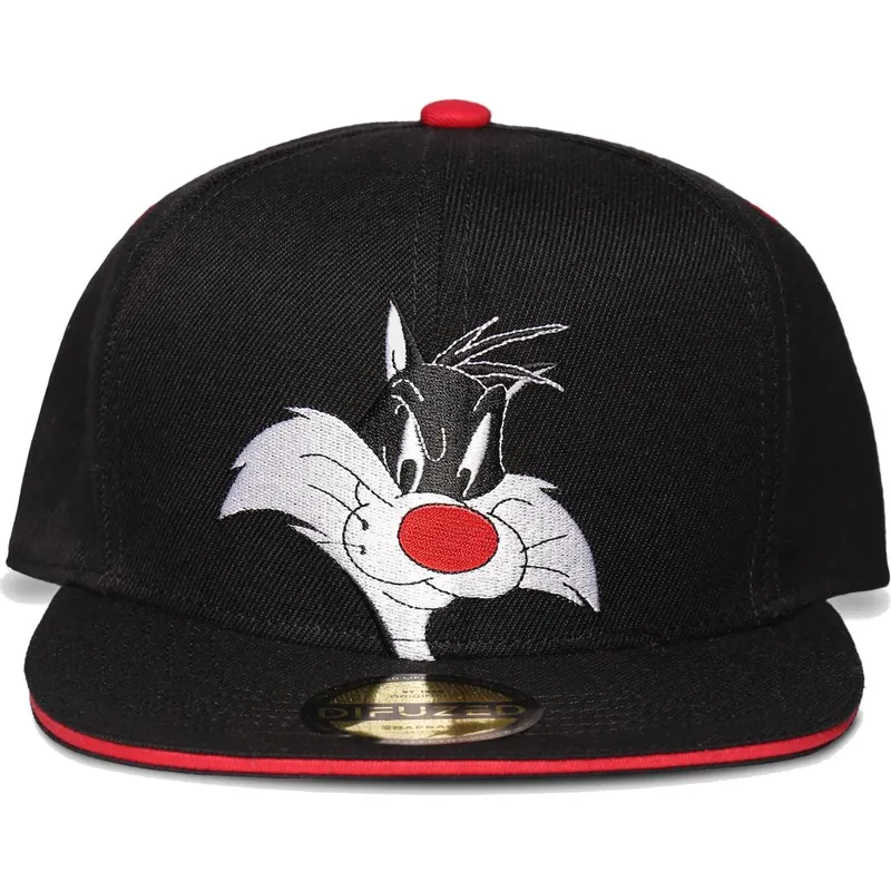 mutzen-flach-schwarz-snapback-von-difuzed mutzen-flach-schwarz-snapback-von-difuzed