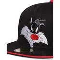 mutzen-flach-schwarz-snapback-von-difuzed
