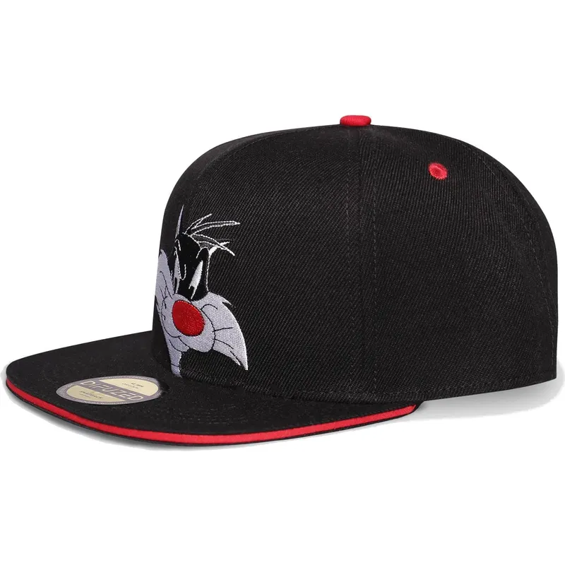 mutzen-flach-schwarz-snapback-von-difuzed mutzen-flach-schwarz-snapback-von-difuzed