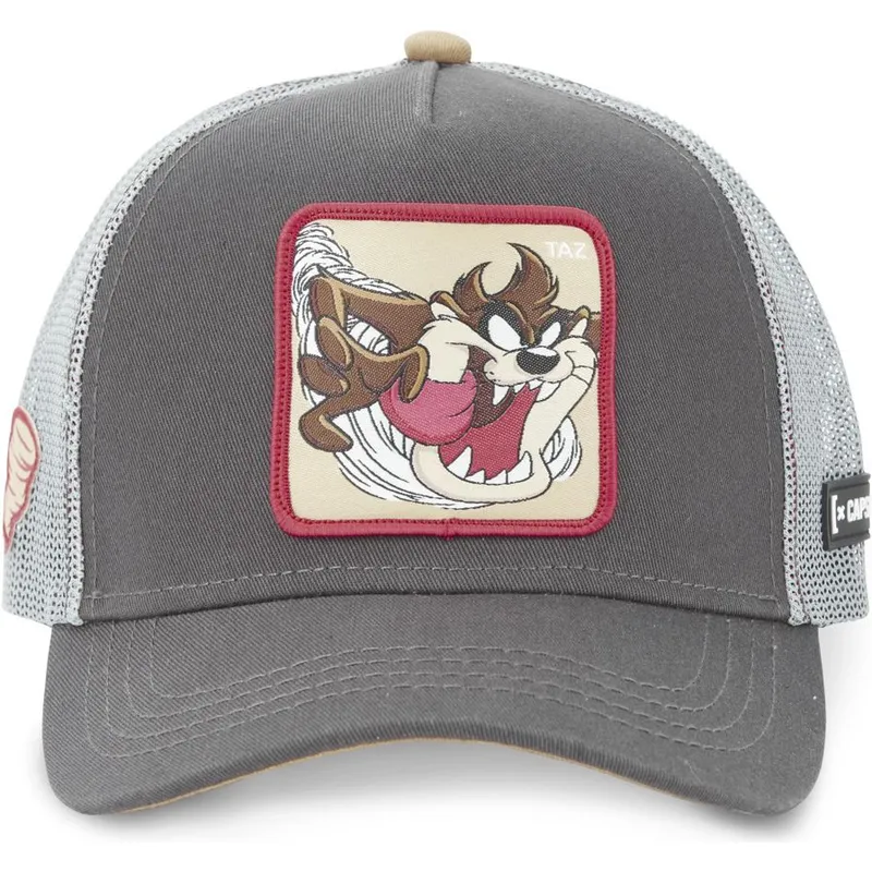 mutzen-gebogen-grau-snapback-diablo-tasmanischer-teufel-looney-tunes-von-capslab