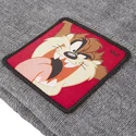 mutzen-grau-diablo-tasmanischer-teufel-looney-tunes-von-capslab