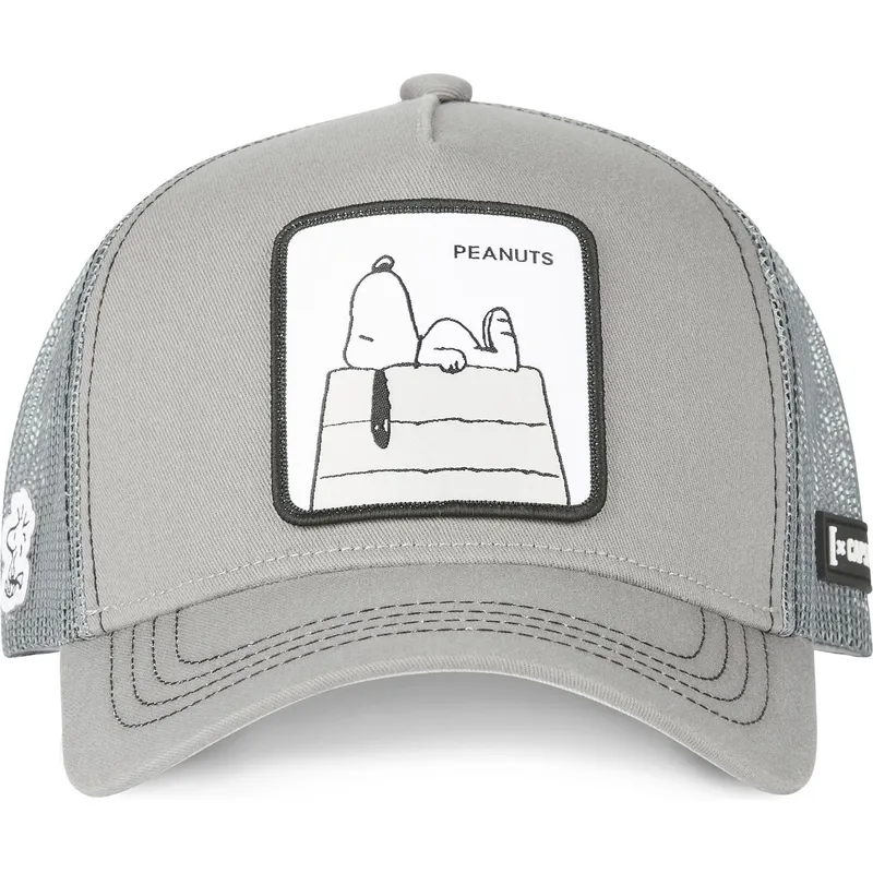 mutzen-gebogen-grau-snapback-snoopy-erdnusse-von-capslab