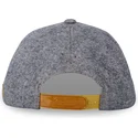 graue-gebogene-snapback-kappe-jea02-von-von-dutch