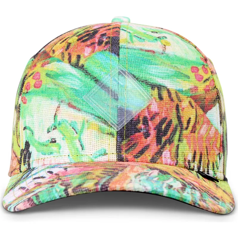 curved-snapback-truefit-painting-djinns