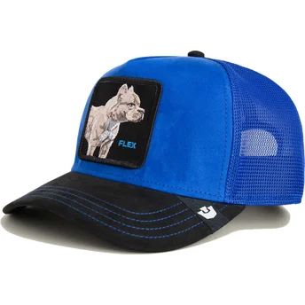 Cappellino trucker blu e nero con pitbull Flex Pitbull Suede The Farm di Goorin Bros.