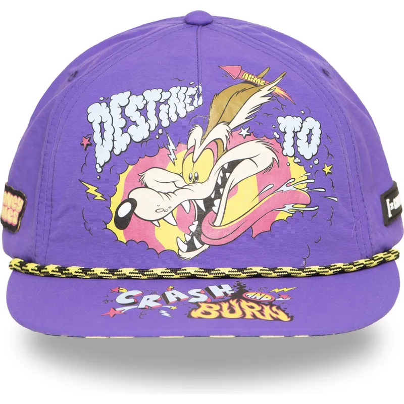 snapback-coyote-loo13-dtcb-looney-tunes-capslab