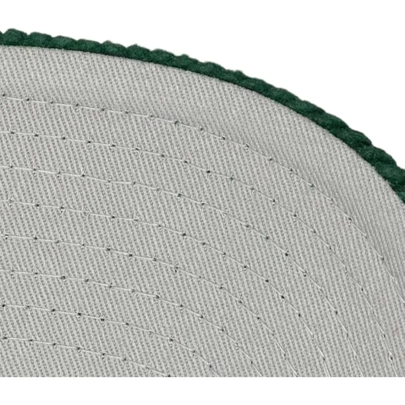 gron-kurvad-snapback-keps-arch-stamp-pro-fran-anaheim-ducks-nhl-av-mitchell-ness