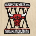 snapback-across-the-board-chicago-bulls-nba-mitchell-ness