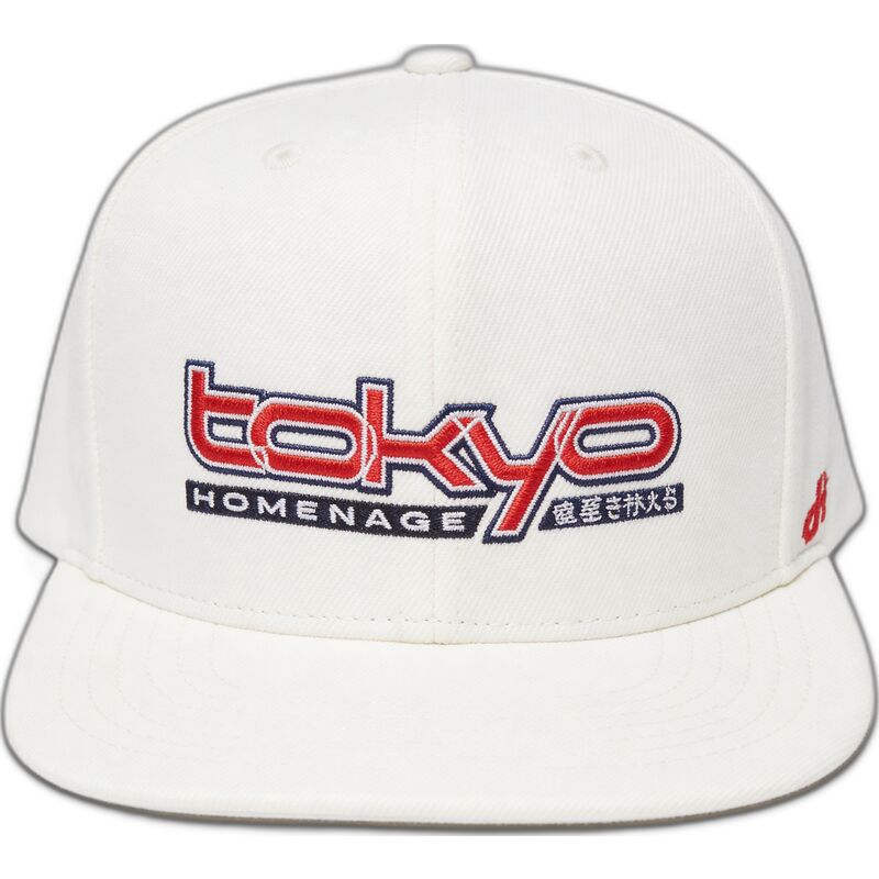 platt-keps-kram-snapback-tkysky-skylines-the-snap-fran-homenage