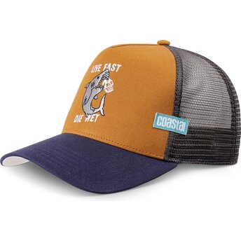 Hai