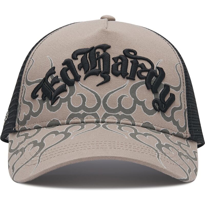 mutzen-gebogen-grau-snapback-flaming-von-ed-hardy