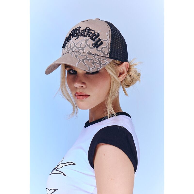 mutzen-gebogen-grau-snapback-flaming-von-ed-hardy