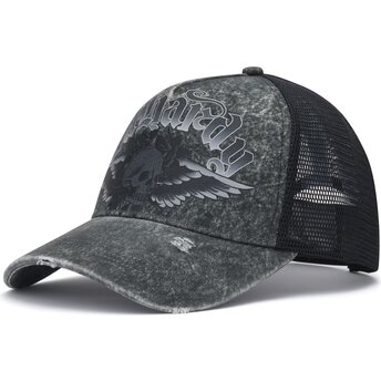 Mützen gebogen grau snapback Flaming Gothic Skull Washed von Ed Hardy