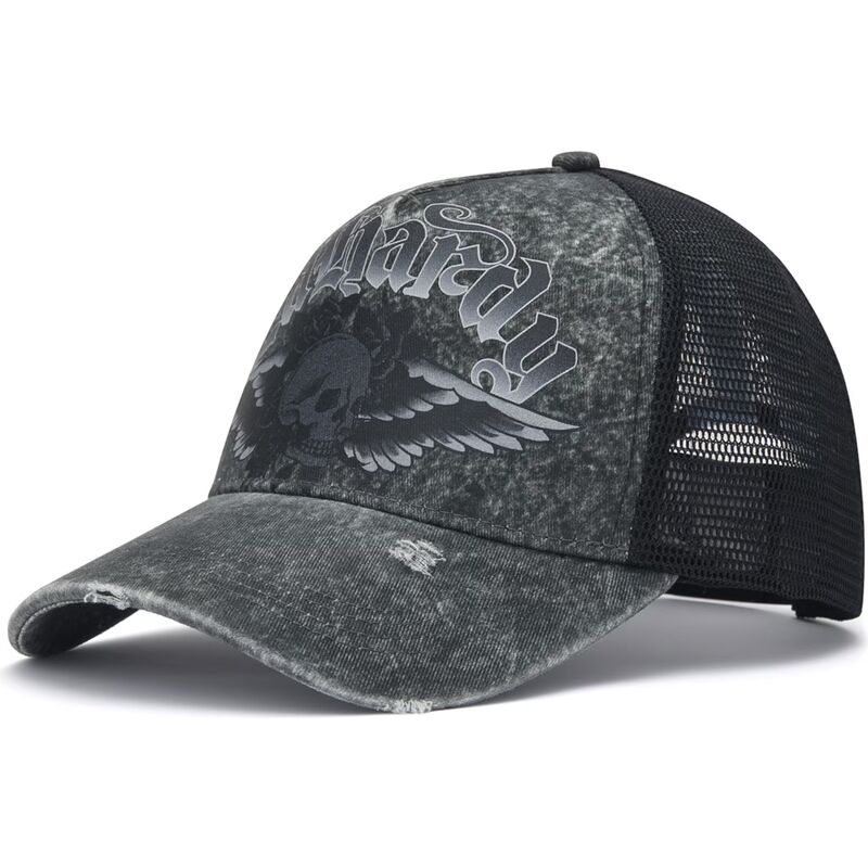 mutzen-gebogen-grau-snapback-flaming-gothic-skull-washed-von-ed-hardy mutzen-gebogen-grau-snapback-flaming-gothic-skull-washed-von-ed-hardy