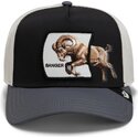 mutzen-gebogen-mehrfarbig-snapback-banger-migration-the-farm-goorin-bros